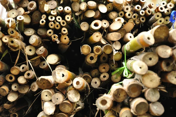 Vista de sección de bambú —  Fotos de Stock