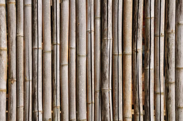 बांबू पार्श्वभूमी — स्टॉक फोटो, इमेज