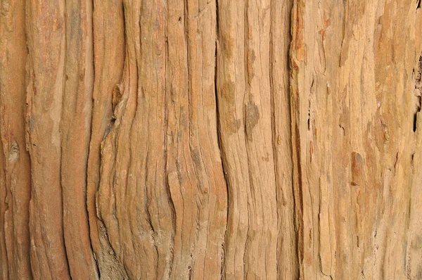 Vecchio legno tagliato texture — Foto Stock
