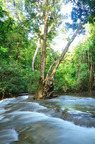 stock image Hui Mea Khamin Waterfall, Kanchanabury, Thailand