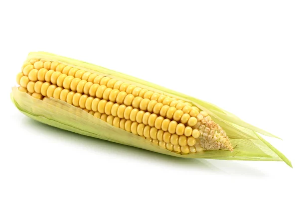 Кукурудза на білому — стокове фото