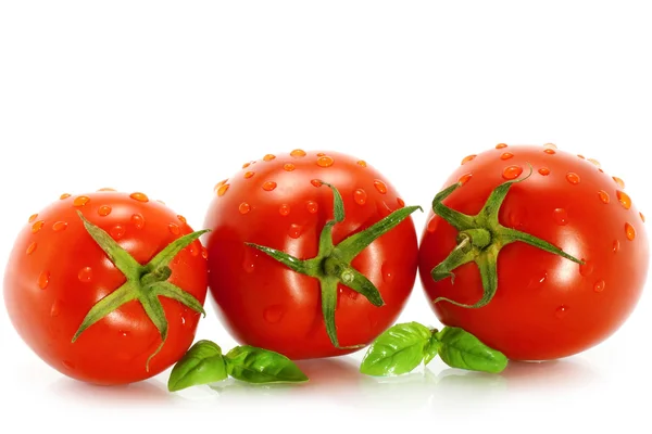 Mokre pomidory z zielenią — Zdjęcie stockowe