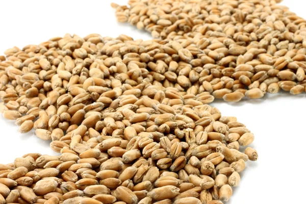 Semillas de trigo — Foto de Stock