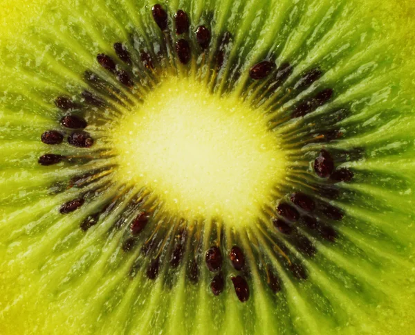 Kiwi fruit háttér — Stock Fotó