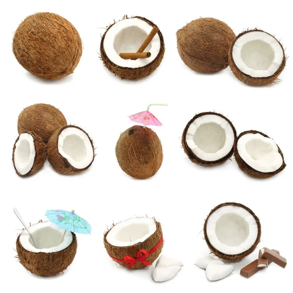 Kokosnoten collage — Stockfoto