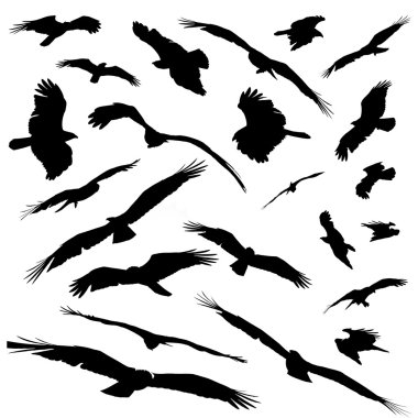 Various silhoutted eagles isolated clipart