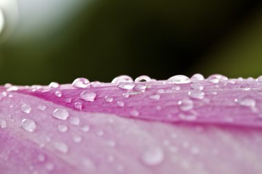 Waterdrops