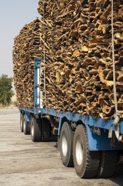 cork kabuk parçaları. Kamyona yüklendi