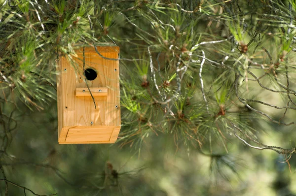 Деревянный дом для птиц — стоковое фото