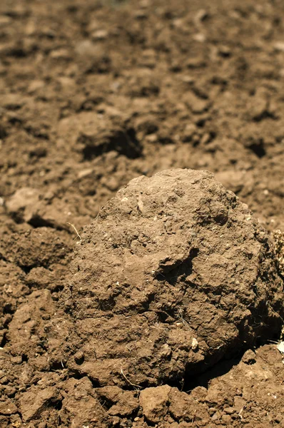Agricultural land soil close up — Stock Photo, Image