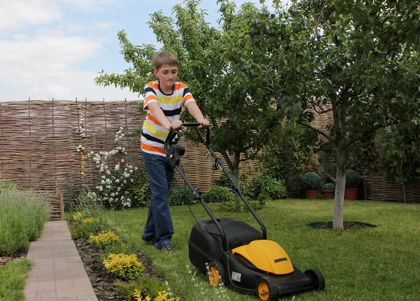 Ung trädgårdsmästare — Stockfoto
