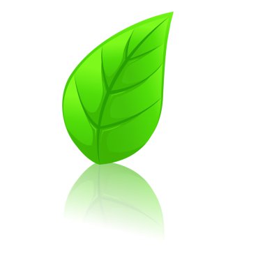 Green leaf clipart