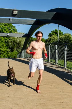 Training before the fight. Boxer and dog running outdoors. clipart