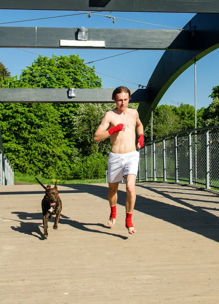 Training before the fight. Boxer and dog running outdoors. — Stock Photo, Image