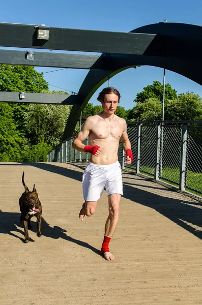 Entrenar antes de la pelea. Boxeador y perro corriendo al aire libre . — Foto de Stock