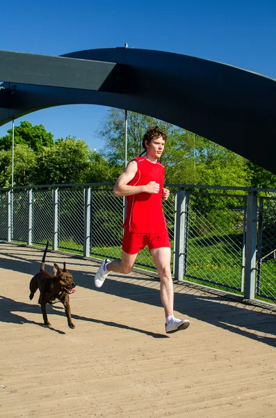 Sportsman och hunden kör utomhus — Stockfoto