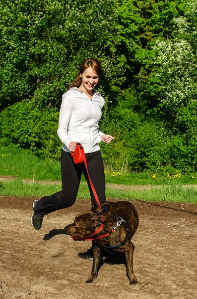 Kvinnan promenader med en amerikansk stafford i parken — Stockfoto