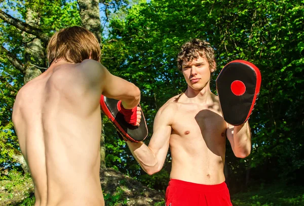 Двоє чоловіків тренують муай тай в лісі — стокове фото