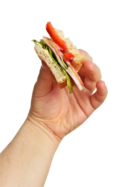 Adamın elini ısırdı sandviç üzerine beyaz izole holding — Stok fotoğraf