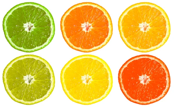 Zes veelkleurige gesneden sinaasappelen, geïsoleerd op wit — Stockfoto