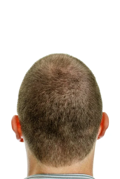 Close-up van de achterkant van mans hoofd. geïsoleerd op wit. — Stockfoto