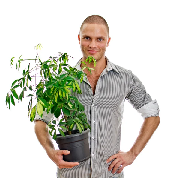 Muž, který držel hrnec s rostlinou. izolované na bílém pozadí — Stock fotografie