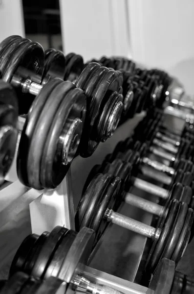 Styrketräning i gym — Stockfoto