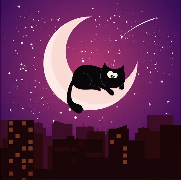 Cat on moon — Stock Vector