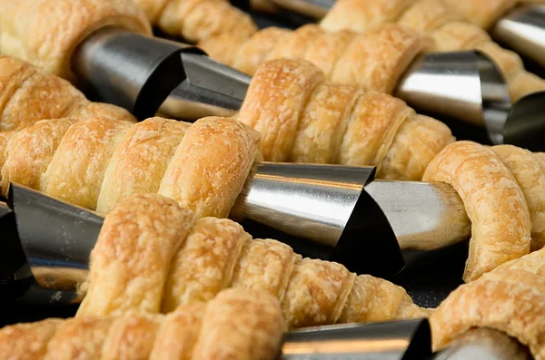 Baked cones — Stock Photo, Image