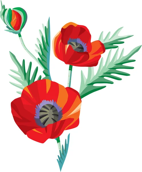 stock vector Flower poppy