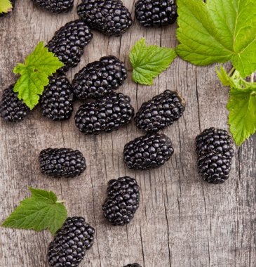 Blackberries clipart