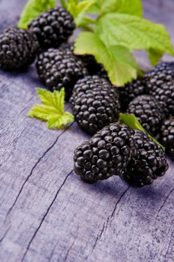 Blackberries clipart