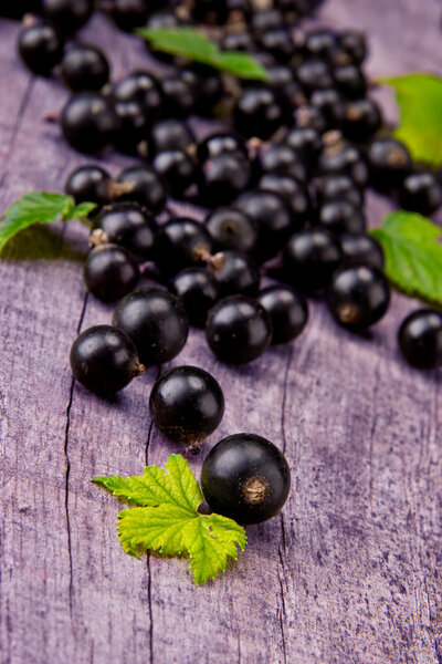 Black currant
