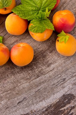 Apricots clipart