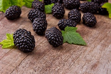 Blackberries clipart