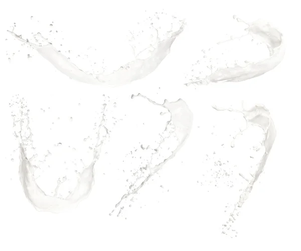 Lapte stropi — Fotografie, imagine de stoc