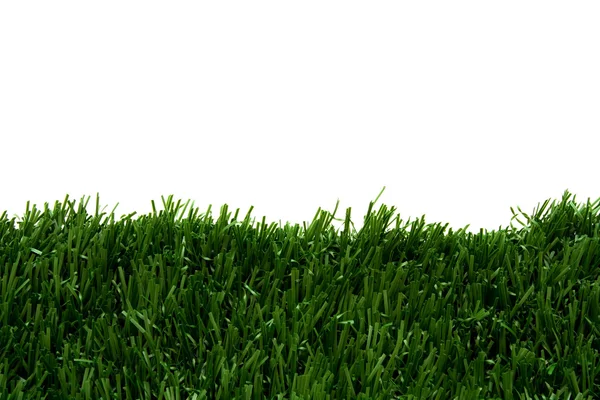 Gräs och vit bakgrund — Stockfoto