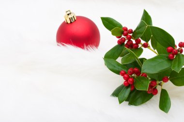 Holly Berries clipart