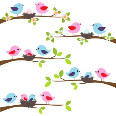 Family of birds clipart