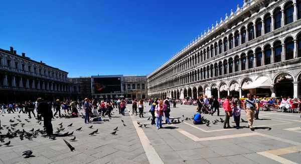 St. Mark's Square, Venice — Stock Photo, Image