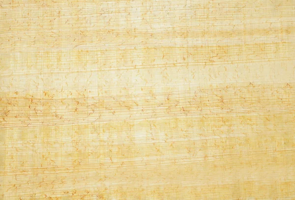 stock image Papyrus texture