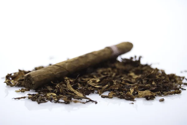 Cigar, tabacco — Stock Photo, Image