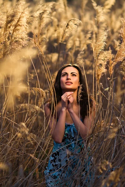 Outdoor portrait of young attractive woman in the reed zone of park.praying — Stock Photo, Image