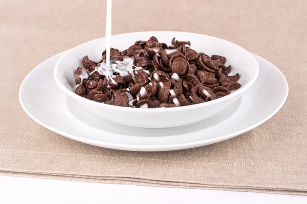 Chocolate cereal with milk. Stock Picture