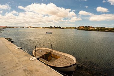 Tejo Nehri.