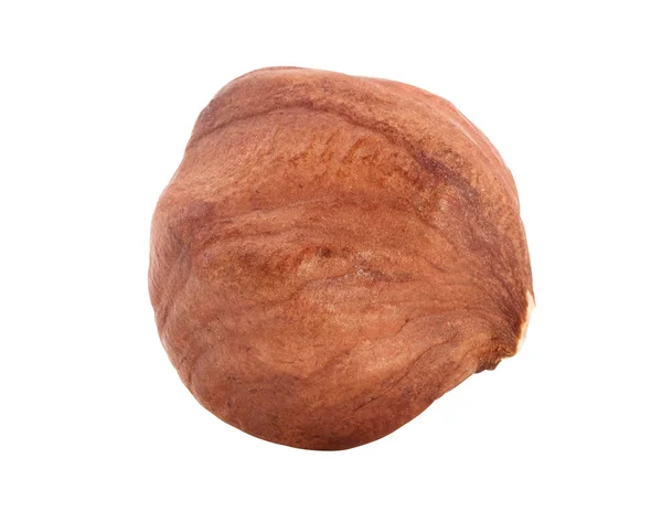 Hazelnut. — Stock Photo, Image