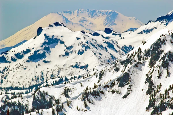 Сніжна гора Сен Хеленс і хребта ліній — стокове фото