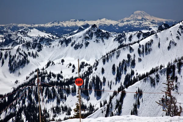 Snowy Mount Saint Adams Menutup Sign Washington — Stok Foto