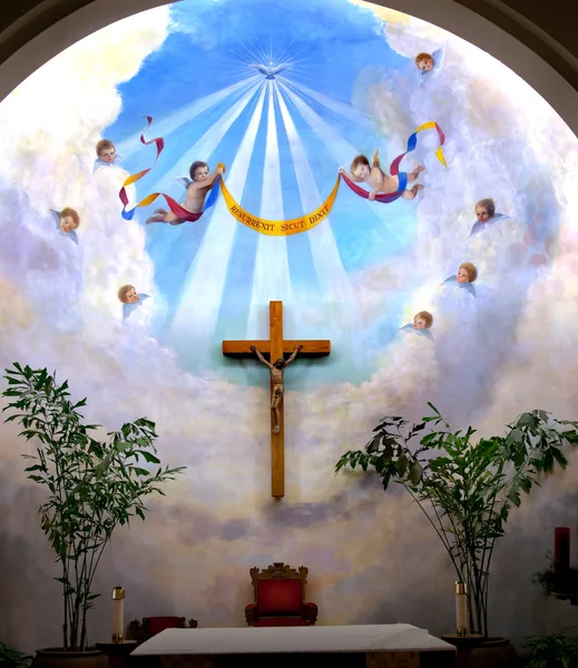 Altar Anjos Cruz Imaculada Conceição Igreja Velho San Diego Para — Fotografia de Stock