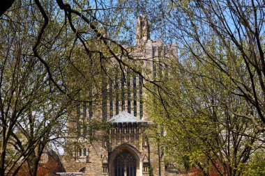 Yale University Sterling Memorial Library Leaves clipart